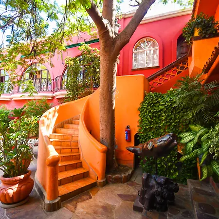 Collection O Casa Bella Hotel Boutique, Cabo San Lucas-3